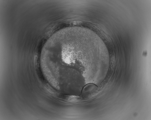 X0000116860222201001121247