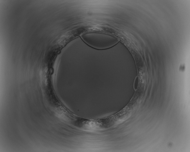 X0000116860223201001121247