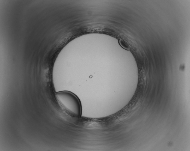 X0000116860224201001121247