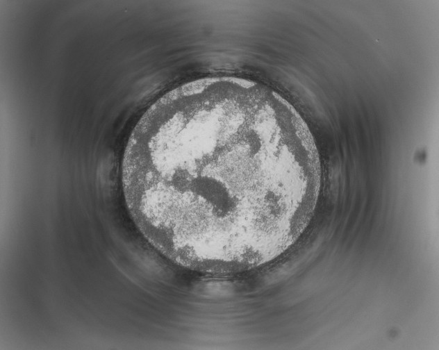 X0000116860228201001121247