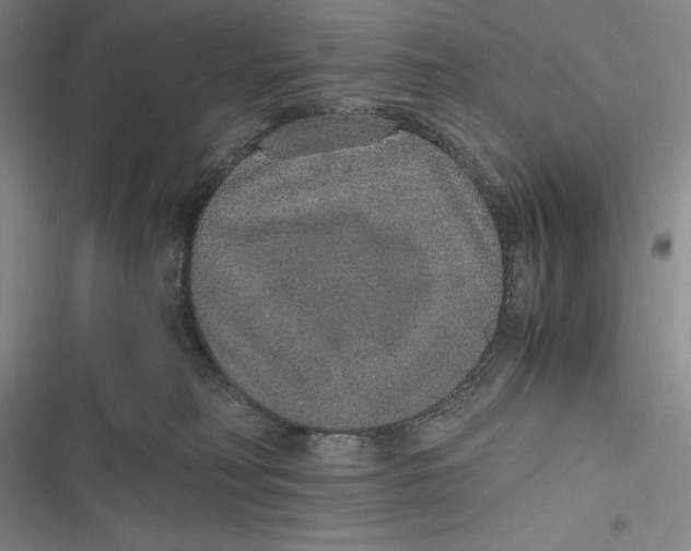 X0000116860230201001121247