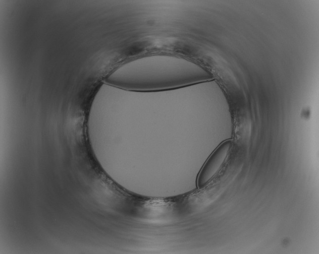 X0000116860231201001121247