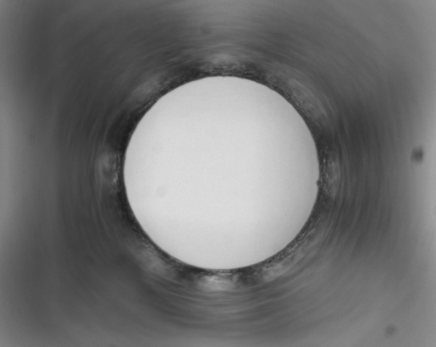 X0000116860232201001121247