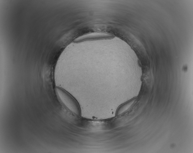 X0000116860233201001121247