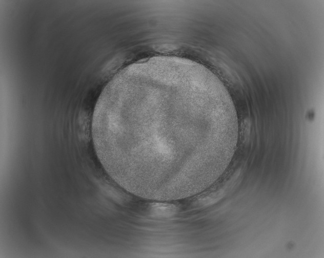 X0000116860234201001121247