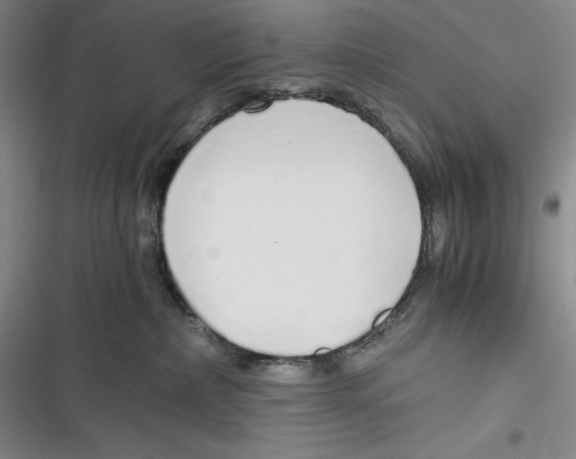 X0000116860236201001121247