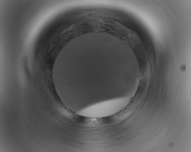 X0000116860239201001121247