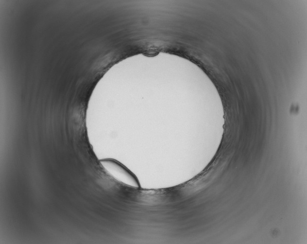 X0000116860240201001121247