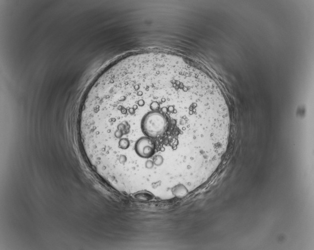 X0000116860241201001121246