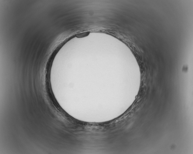 X0000116860242201001121246