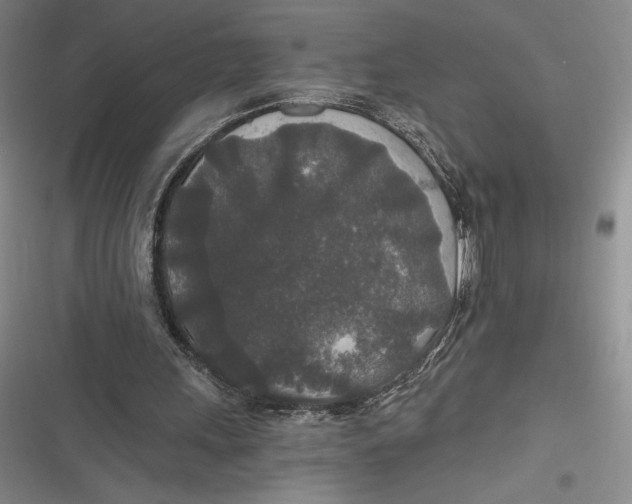 X0000116860243201001121246