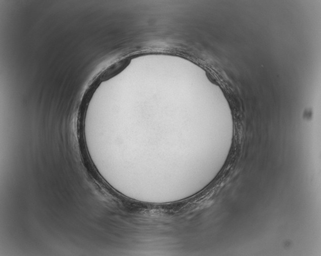 X0000116860244201001121246