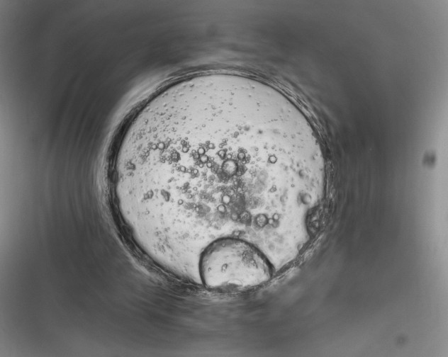 X0000116860245201001121246