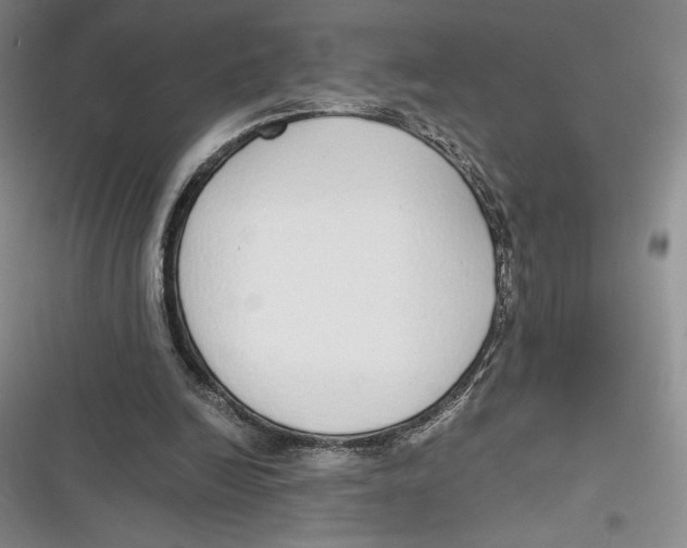 X0000116860246201001121246