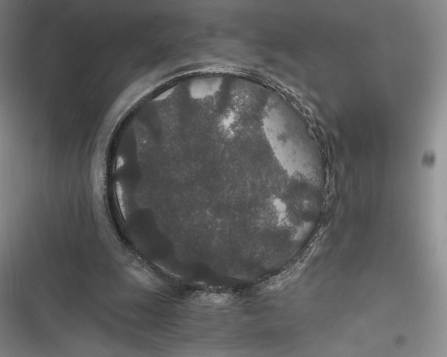 X0000116860247201001121246