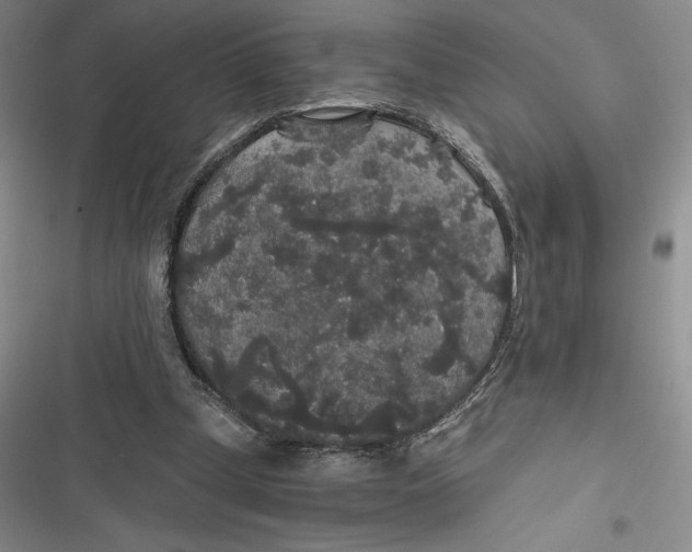 X0000116860249201001121247