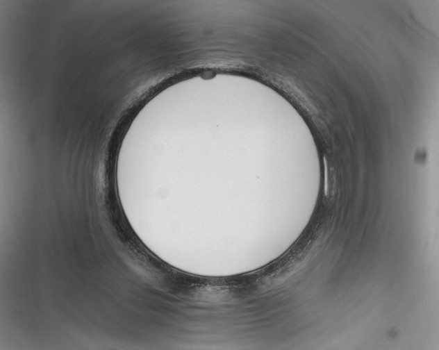 X0000116860252201001121247