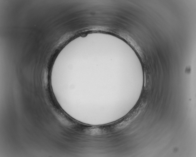 X0000116860253201001121247