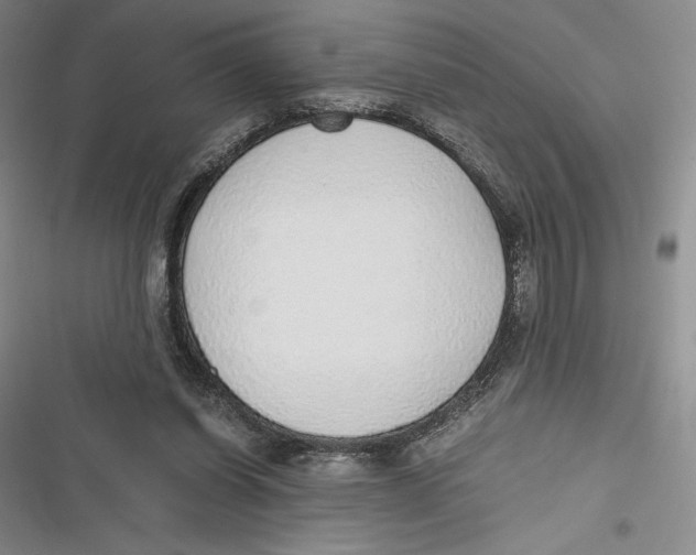 X0000116860254201001121247