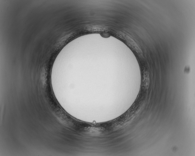 X0000116860255201001121247