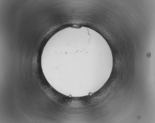 X0000116860256201001121247