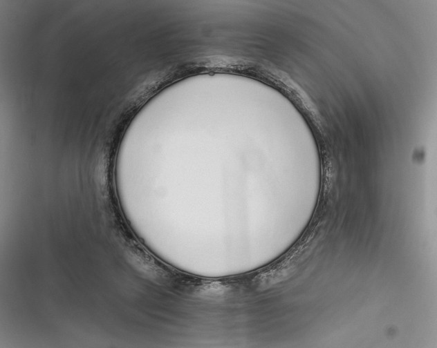 X0000116860257201001121247