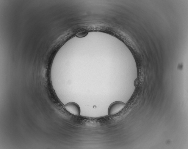 X0000116860258201001121247