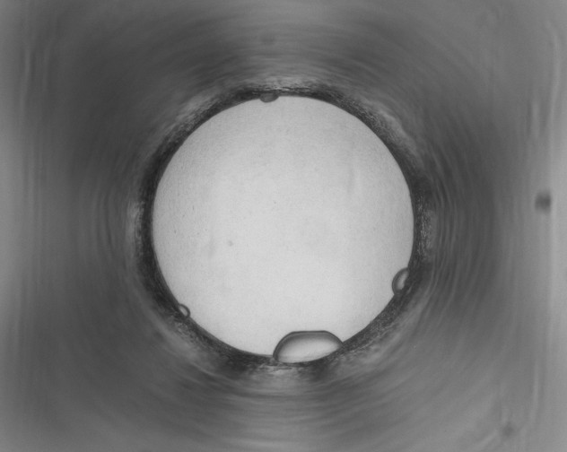 X0000116860260201001121247