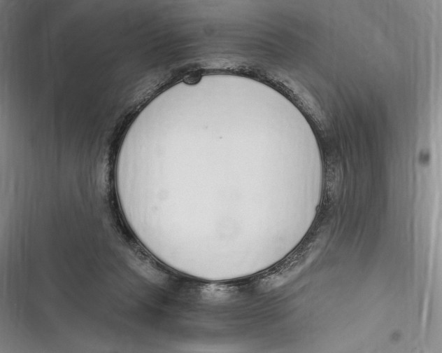 X0000116860261201001121247