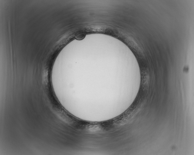 X0000116860262201001121247