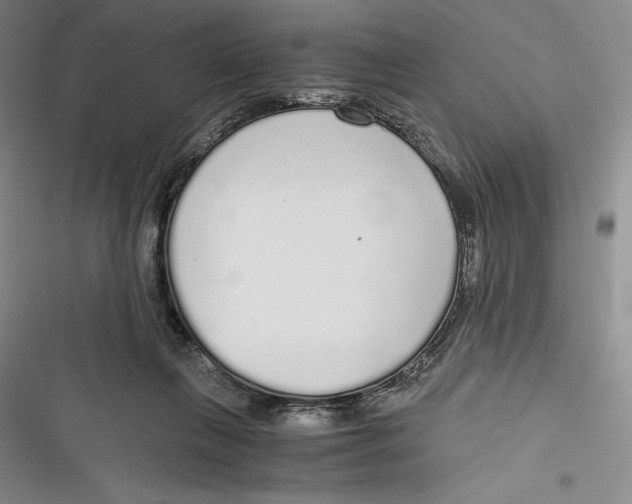 X0000116860263201001121247