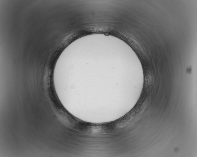 X0000116860264201001121247