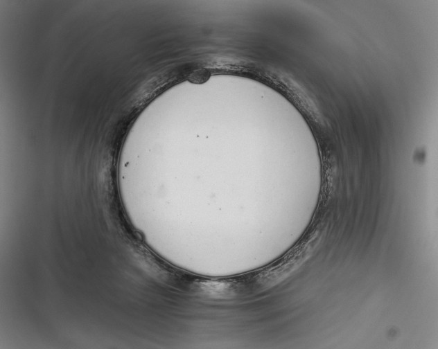 X0000116860265201001121247