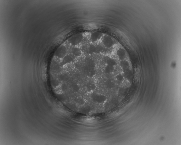 X0000116860267201001121247