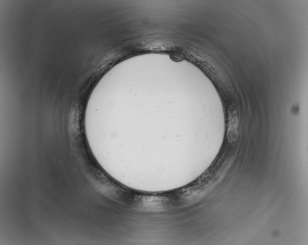 X0000116860268201001121247