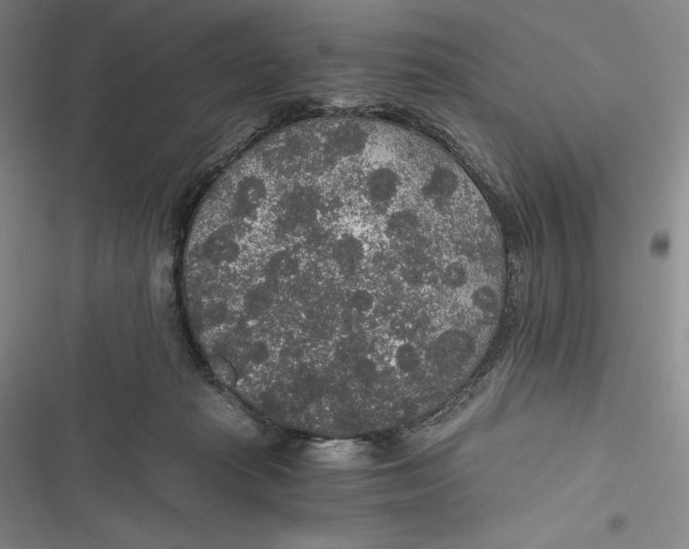 X0000116860269201001121247