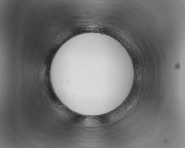 X0000116860270201001121247