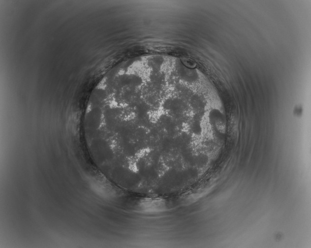 X0000116860271201001121247