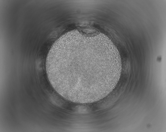 X0000116860272201001121247