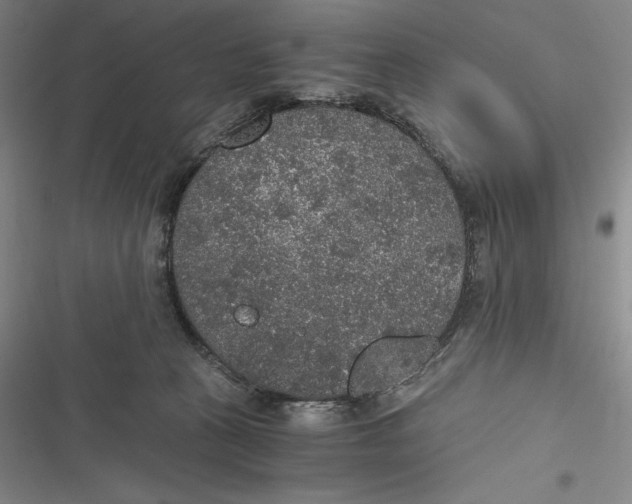 X0000116860273201001121247