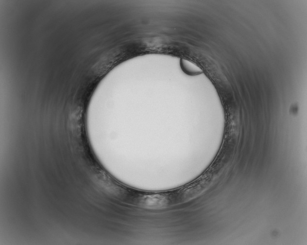 X0000116860275201001121247