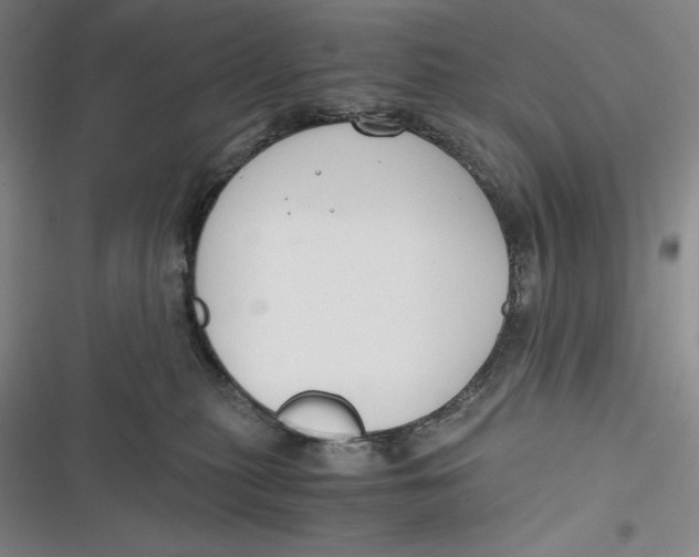 X0000116860279201001121247