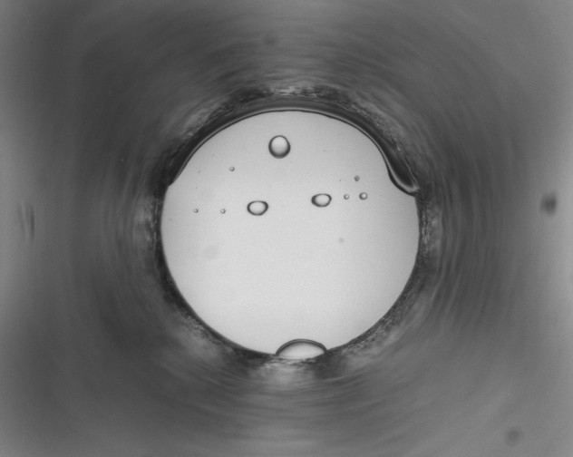 X0000116860280201001121247