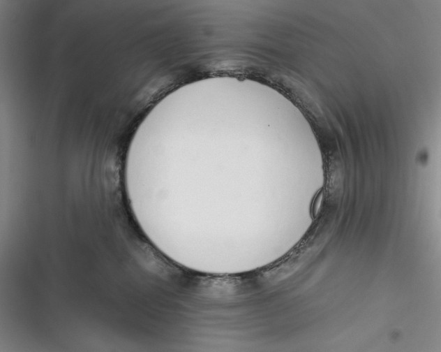 X0000116860282201001121247