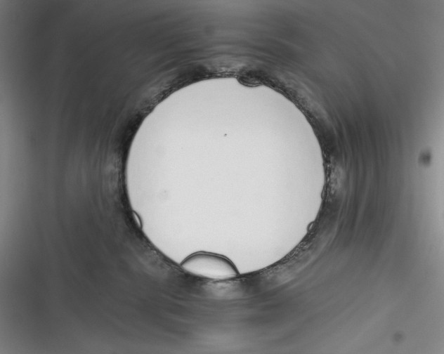 X0000116860283201001121247