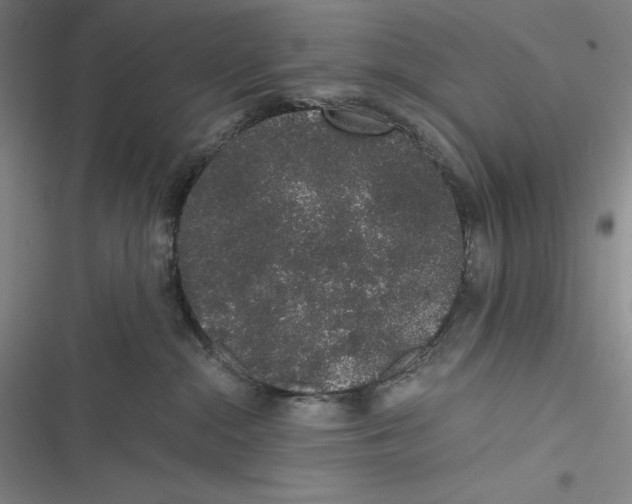 X0000116860284201001121247