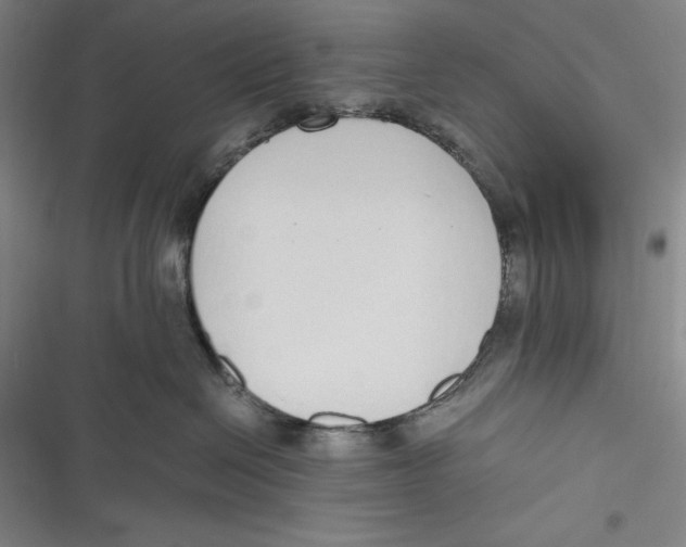 X0000116860286201001121247