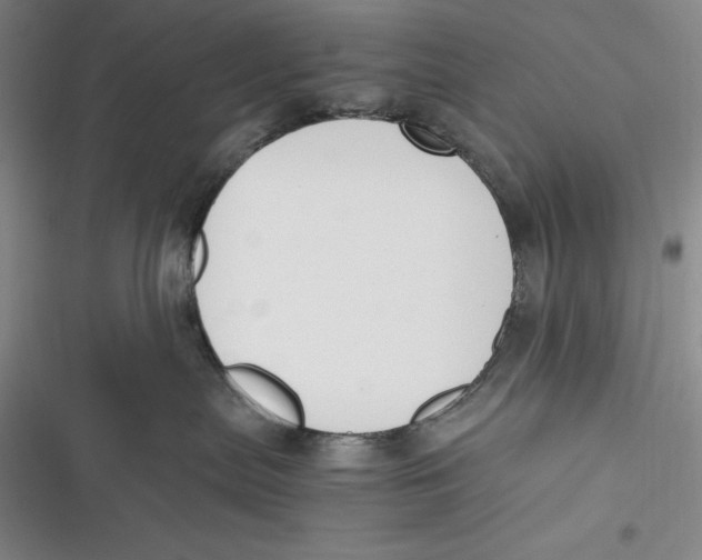 X0000116860287201001121247