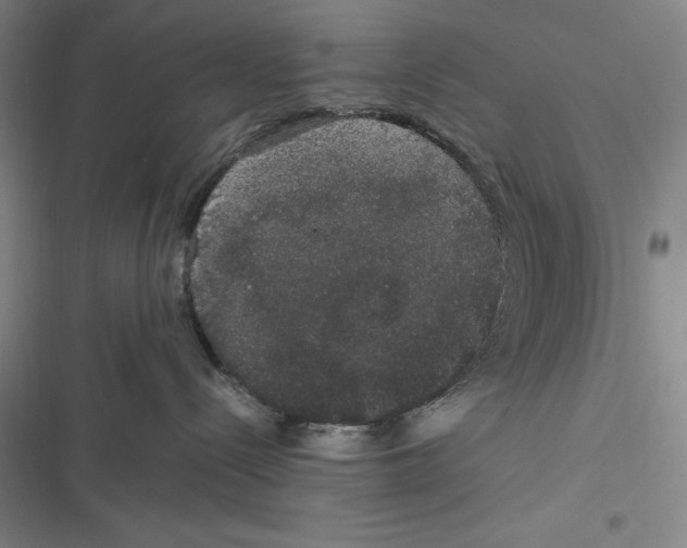 X0000116860288201001121247