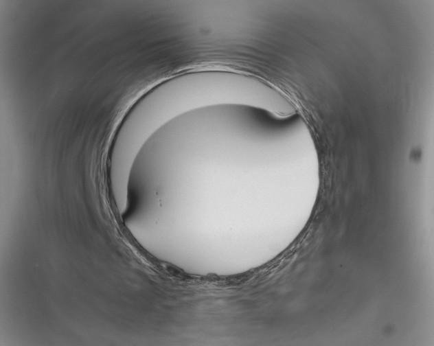 X0000116860289201001121246